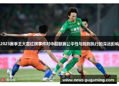 2025赛季王大雷红牌事件对中超联赛公平性与规则执行的深远影响