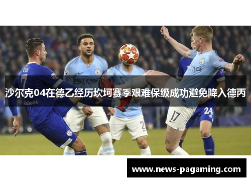 沙尔克04在德乙经历坎坷赛季艰难保级成功避免降入德丙